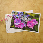 Greeting / Note Cards with Envelopes Featuring Vibrant Hydrangea Blossoms Original Photography | Blank 4 Cards Set 6.25x4.5 in, 8.5x5.5 in
