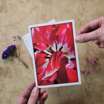Greeting / Note Cards with Envelopes Featuring Red Tulip Flowers Original Macro Photography | Blank Floral Cards Set of 4