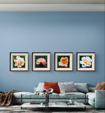 Vibrant Rose Flowers Set of 4 Square Prints | Authentic Nature Closeup Photography | Unframed Canvas Wall Art Collection | Modern Home Office Decor