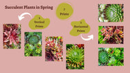 Digital 7 Prints 3x4 Ratio | Vibrant Succulent Plants Authentic Macro Photography | Instant Download for Home Wall Art Décor & Multi-Device Wallpapers