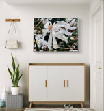 White Star Magnolia with Raindrops Nature Macro Photography Canvas Set | 3 Horizontal Prints | Botanical Wall Art