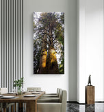 Forest Trees in Golden Sunset | Authentic Nature Closeup Photography | Gallery Wrapped Canvas Vertical Print | Biophilic Wall Art Decor