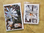 Greeting / Note Cards with Envelopes Featuring White Magnolia Flowers Original Closeup Photography | Blank 6 Cards Set – 4.5”x6.25”, 5.5”x8.5” | Nature Lover Gift
