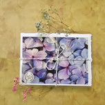 Greeting / Note Cards with Envelopes Featuring Vibrant Hydrangea Blossoms Original Macro Photography | Blank 4 Cards Set – 7” x 5” | Nature Lover Gift