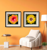 Vibrant Flowers with Raindrops Photography | Set of 4 Square Unframed Canvas Prints | Nature Wall Art for Home & Office