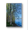 Tranquil Birch Trees by Mountain Lake Original Photography Wall Art Décor for Living Room, Office, or Cabin-Vertical Unframed Canvas Print