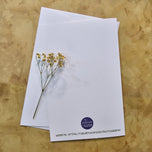 Greeting / Note Cards with Envelopes Featuring White Magnolia Flowers Original Closeup Photography | Blank 6 Cards Set – 4.5”x6.25”, 5.5”x8.5” | Nature Lover Gift