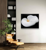 White Lily Flower Wrapped Canvas Print | Authentic Nature Closeup Photography | Modern Wall Art for Home Office Décor | Horizontal Picture