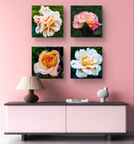 Vibrant Rose Flowers Set of 4 Square Prints | Authentic Nature Closeup Photography | Unframed Canvas Wall Art Collection | Modern Home Office Decor