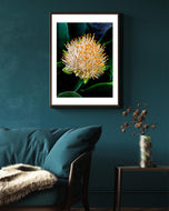 Vibrant Tropical Flower | Authentic Nature Closeup Photography Print | Vertical Unframed Canvas Wall Art for Biophilic Home Office Décor