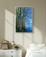 Tranquil Birch Trees by Mountain Lake Original Photography Wall Art Décor for Living Room, Office, or Cabin-Vertical Unframed Canvas Print