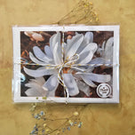 Greeting / Note Cards with Envelopes Featuring White Magnolia Flowers Original Closeup Photography | Blank 6 Cards Set – 7” x 5” | Nature Lover Gift