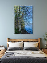Tranquil Birch Trees by Mountain Lake | Authentic Nature Photography | Vertical Gallery Wrapped Canvas | Living Room, Office, or Cabin Wall Art