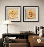 Pale Yellow Rose Canvas Prints Set of 6 - Authentic Nature Closeup Photography - Unframed Square Botanical Wall Art - Biophilic Home Office Decor - Modern Floral Art