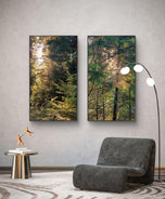 Forest Trees in Sunset | Authentic Nature Photography Prints Set of 3 | Vertical Unframed Canvas | Biophilic Wall Art