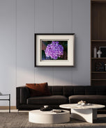 Purple Hydrangea Blossom | Authentic Closeup Photography Print | Unframed Canvas Horizontal Print | Biophilic Floral Wall Art