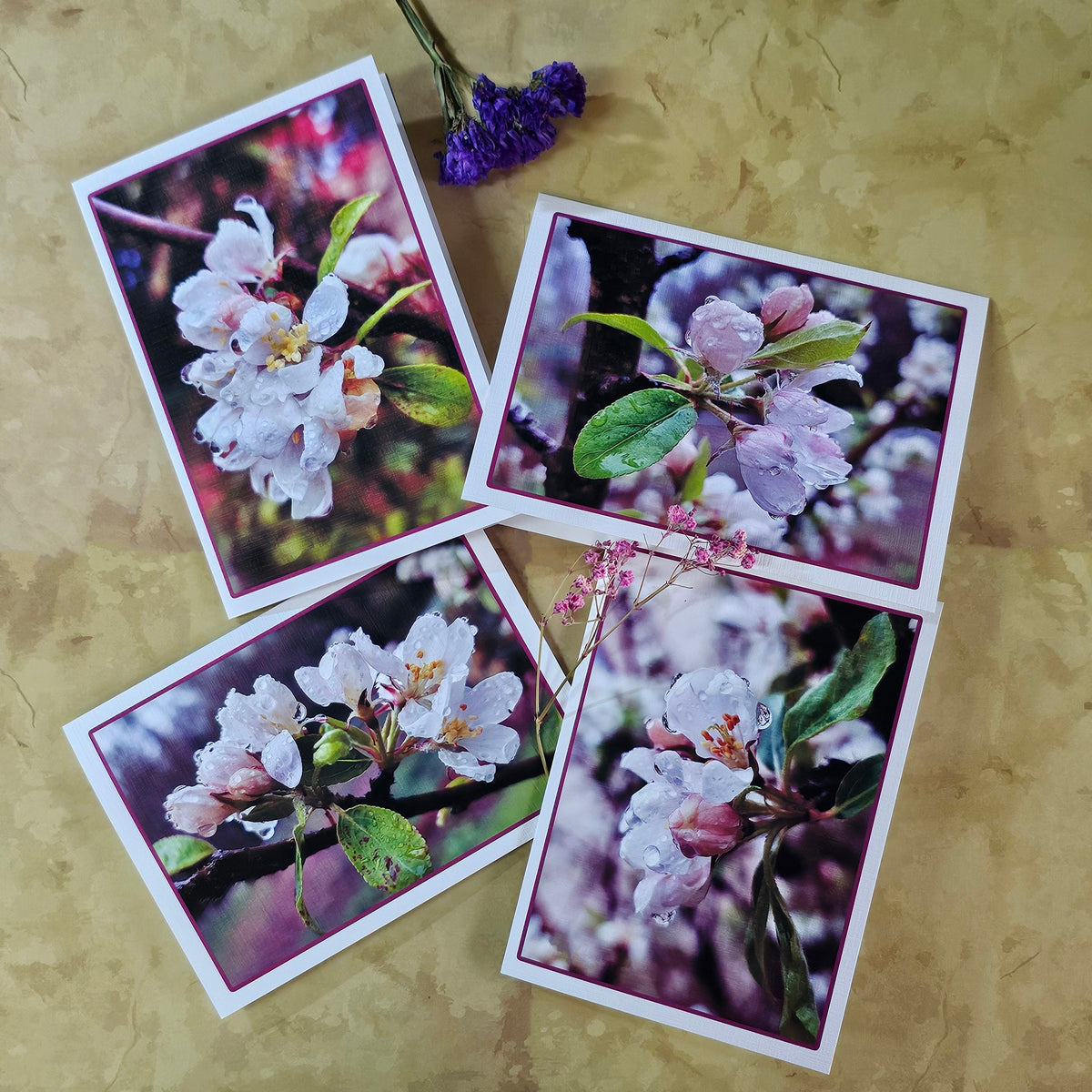 Greeting / Note Cards with Envelopes Featuring Apple Tree Flowers with Raindrops