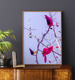 Digital 2 Prints Set 3x4 & 16x9 Ratios | Spring Pink Magnolia Authentic Photography | Instant Download for Home Wall Art Décor & Multi-Device Wallpapers