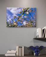 White Spring Blossom with Raindrops | Macro Floral Photography on Horizontal Wrapped Canvas | Modern Botanical Wall Art for Home & Office Décor
