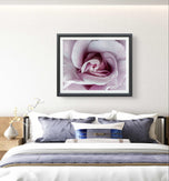 Purple Rose Authentic Macro Photography Horizontal Print | Unframed Canvas Wall Art | Modern Nature Home & Office Decor