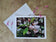 Greeting / Note Cards with Envelopes Featuring Apple Tree Flowers with Raindrops | Original Macro Photography | Blank 4 Cards Set – 4.5”x6.25”, 5.5”x8.5” | Nature Lover Gift