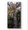 Summer Tree in Sunset | Authentic Nature Closeup Photography | Gallery Wrapped Canvas Vertical Print | Biophilic Wall Art for Home Decor