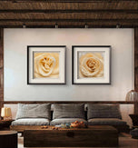 Pale Yellow Rose Canvas Prints Set of 6 - Authentic Nature Closeup Photography - Unframed Square Botanical Wall Art - Biophilic Home Office Decor - Modern Floral Art