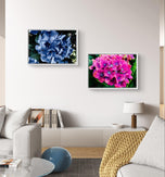 Purple & Pink Hydrangea Closeup Photography Unframed Canvas Set of 4 Prints | Modern Nature Wall Art for Home Office Decor | Elegant Gift