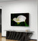 White Arum Lily with Raindrops Closeup Photography | Horizontal Gallery Wrapped Canvas Nature Wall Art for Biophilic Style Decor