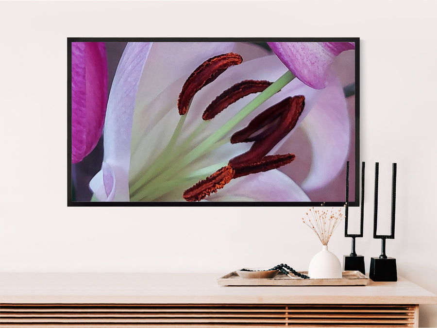 Digital Bundle 10 Prints Set-Macro Photography Floral Gallery Wall Home Décor-Pink lilies Posters-Instant Download Multi-Device Wallpapers