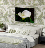 White Arum Lily with Raindrops Closeup Photography | Horizontal Gallery Wrapped Canvas Nature Wall Art for Biophilic Style Decor