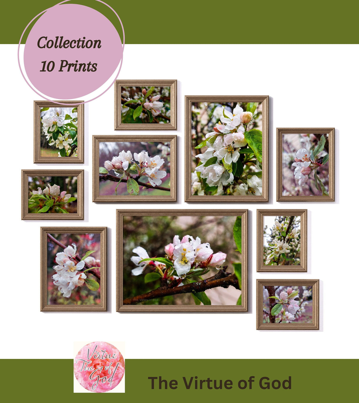 Digital Bundle 10 Prints Set-Apple Flowers with Raindrops-Macro Photography Floral Gallery Wall Art-Instant Download Multi-Device Wallpapers