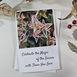 Winter Frost Covered Leaves Original Photography Greeting Cards | Blank Note Cards Set of 4 with Envelopes | 5" × 7" Canvas Paper