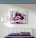 Purple Rose Macro Photography | Gallery Wrapped Canvas Horizontal Print | Authentic Nature Wall Art | Modern Home Office Decor