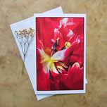 Greeting / Note Cards with Envelopes Featuring Red Tulip Flowers Original Macro Photography | Blank Floral Cards Set of 4