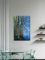 Tranquil Birch Trees by Mountain Lake | Authentic Nature Photography | Vertical Gallery Wrapped Canvas | Living Room, Office, or Cabin Wall Art