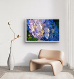 Blue Hydrangea in Sunset Canvas Print Set of 2 | Authentic Nature Photography Wall Art | Horizontal Unframed Canvas | Biophilic Home Décor