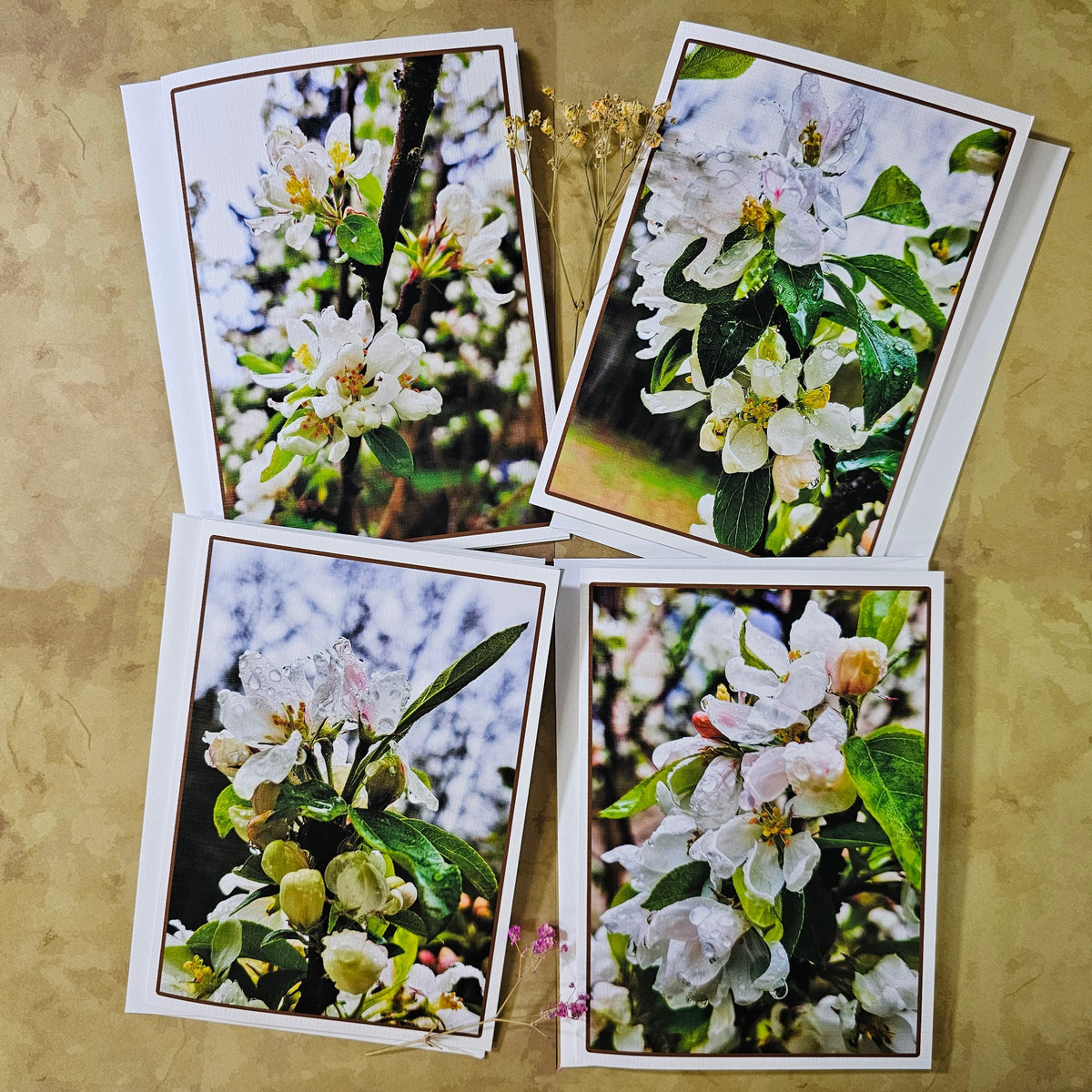 Apple Flowers Original Photo Art Greeting Cards with Envelopes-Floral 4 Cards Set-Spring Blank Note Cards 5in x 7in-Nature Lover Gift Set