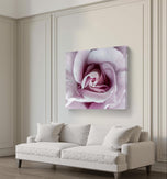 Purple Rose Macro Photography | Gallery Wrapped Canvas Horizontal Print | Authentic Nature Wall Art | Modern Home Office Decor
