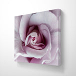 Purple Rose Macro Photography | Gallery Wrapped Canvas Horizontal Print | Authentic Nature Wall Art | Modern Home Office Decor