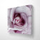 Purple Rose Macro Photography | Gallery Wrapped Canvas Horizontal Print | Authentic Nature Wall Art | Modern Home Office Decor
