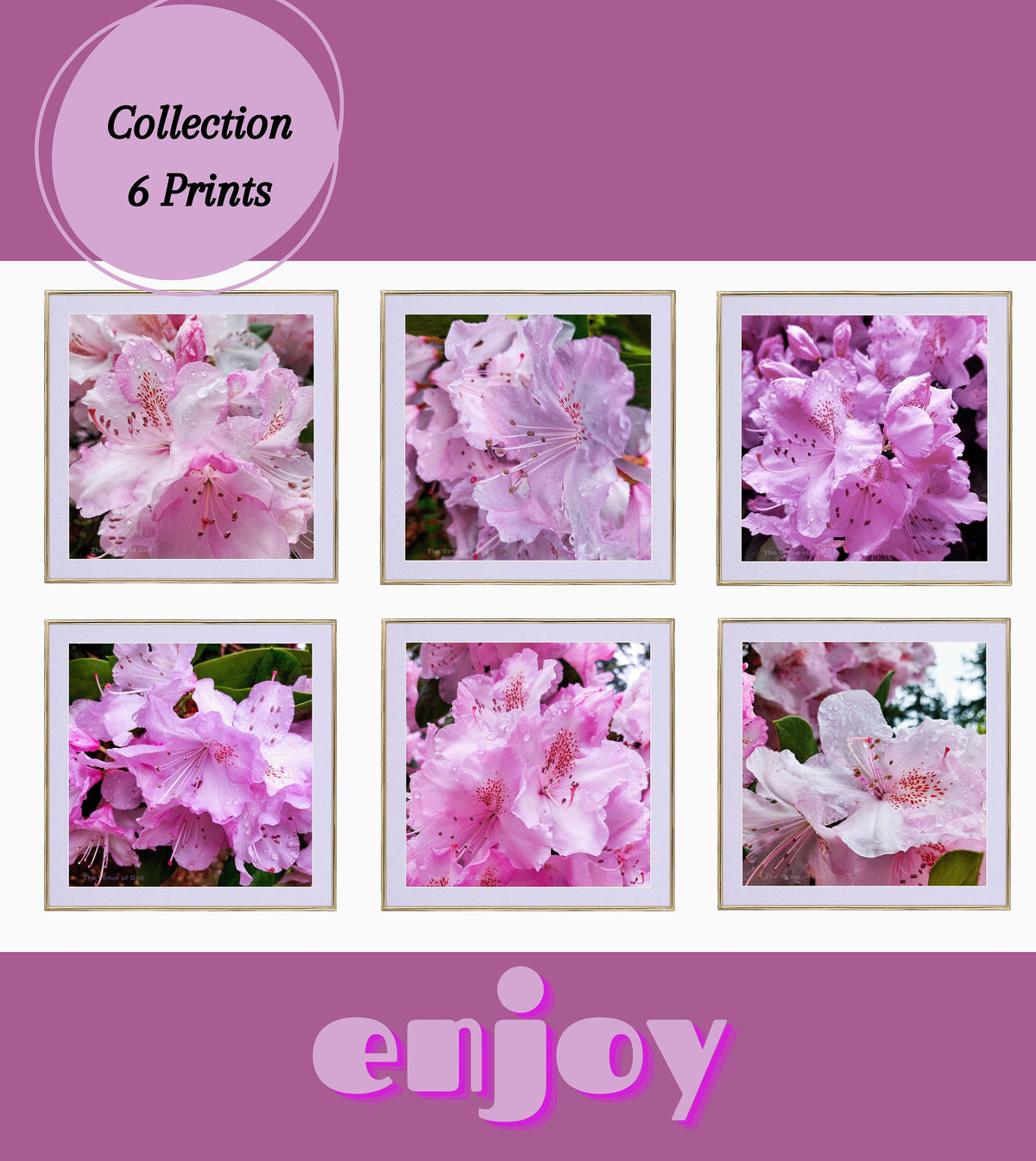 Digital Bundle 6 Prints Set-Pink Rhododendrons with Raindrops-Macro Photography-Gallery Wall Art-Instant Download Multi-Device Wallpaper
