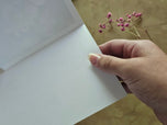 Greeting / Note Cards with Envelopes Featuring Apple Tree Flowers with Raindrops | Original Macro Photography | Blank 4 Cards Set – 4.5”x6.25”, 5.5”x8.5” | Nature Lover Gift