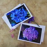 Greeting / Note Cards with Envelopes Featuring Vibrant Hydrangea Blossoms Original Photography | Blank 4 Cards Set 6.25x4.5 in, 8.5x5.5 in
