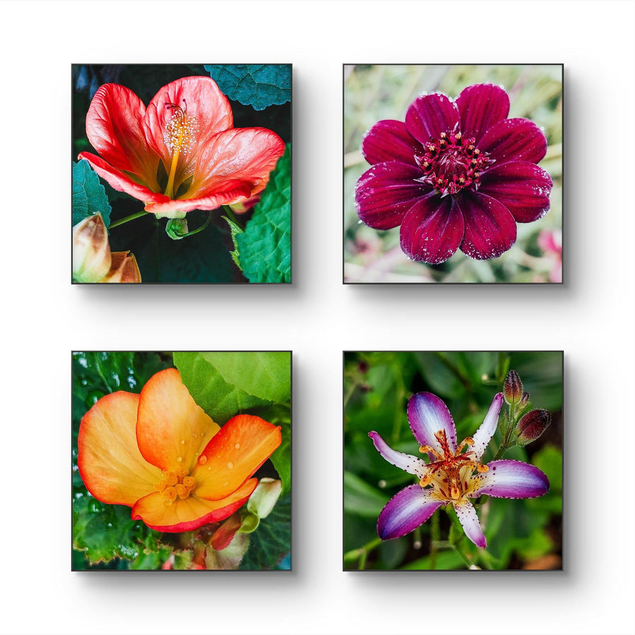 Vibrant Tropical Flowers Close-Up Nature Photography I Square Unframed Canvas Wall Art Set of 4