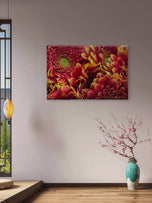 Red Floral Canvas Wall Art | Spring Gerbera Macro Photography | Horizontal Gallery Wrapped Print | Ready to Hang