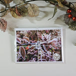 Winter Frost Covered Leaves Original Photography Greeting Cards | Blank Note Cards Set of 4 with Envelopes | 5" × 7" Canvas Paper