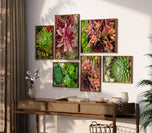 Digital 7 Prints 3x4 Ratio | Vibrant Succulent Plants Authentic Macro Photography | Instant Download for Home Wall Art Décor & Multi-Device Wallpapers