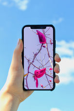 Digital 2 Prints Set 3x4 & 16x9 Ratios | Spring Pink Magnolia Authentic Photography | Instant Download for Home Wall Art Décor & Multi-Device Wallpapers