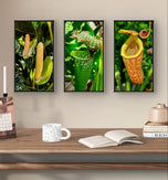 Vibrant Tropical Flowers Closeup Photography Unframed Canvas Set of 3 Prints - Modern Nature Wall Art for Home Office Decor